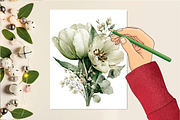 Tulip Whisper Watercolor Clipart, an Illustration by DreamCafeArt (Thumbnail 4 of 6)
