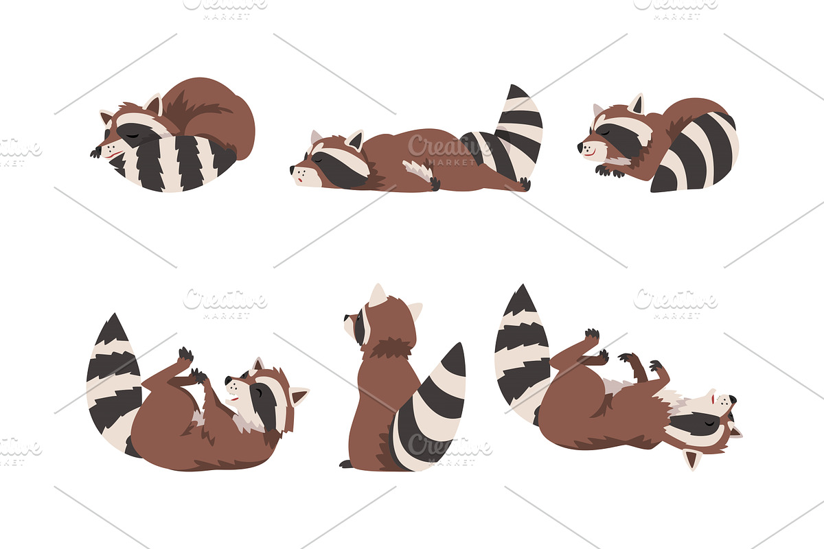 Funny Raccoon with Ringed Tail in, an Animal Illustration by TopVectors