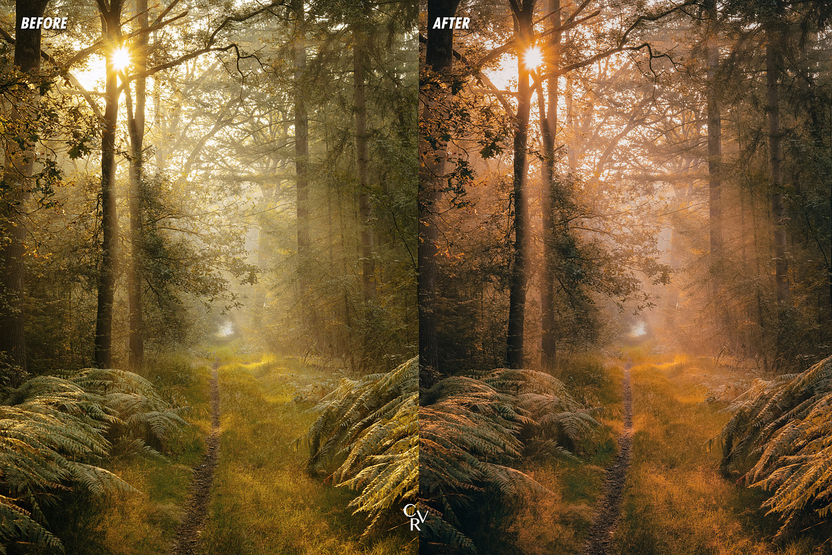 15 Mystical Lightroom Presets, a Preset Add-On by CVR Presets (Photo 7 of 7)