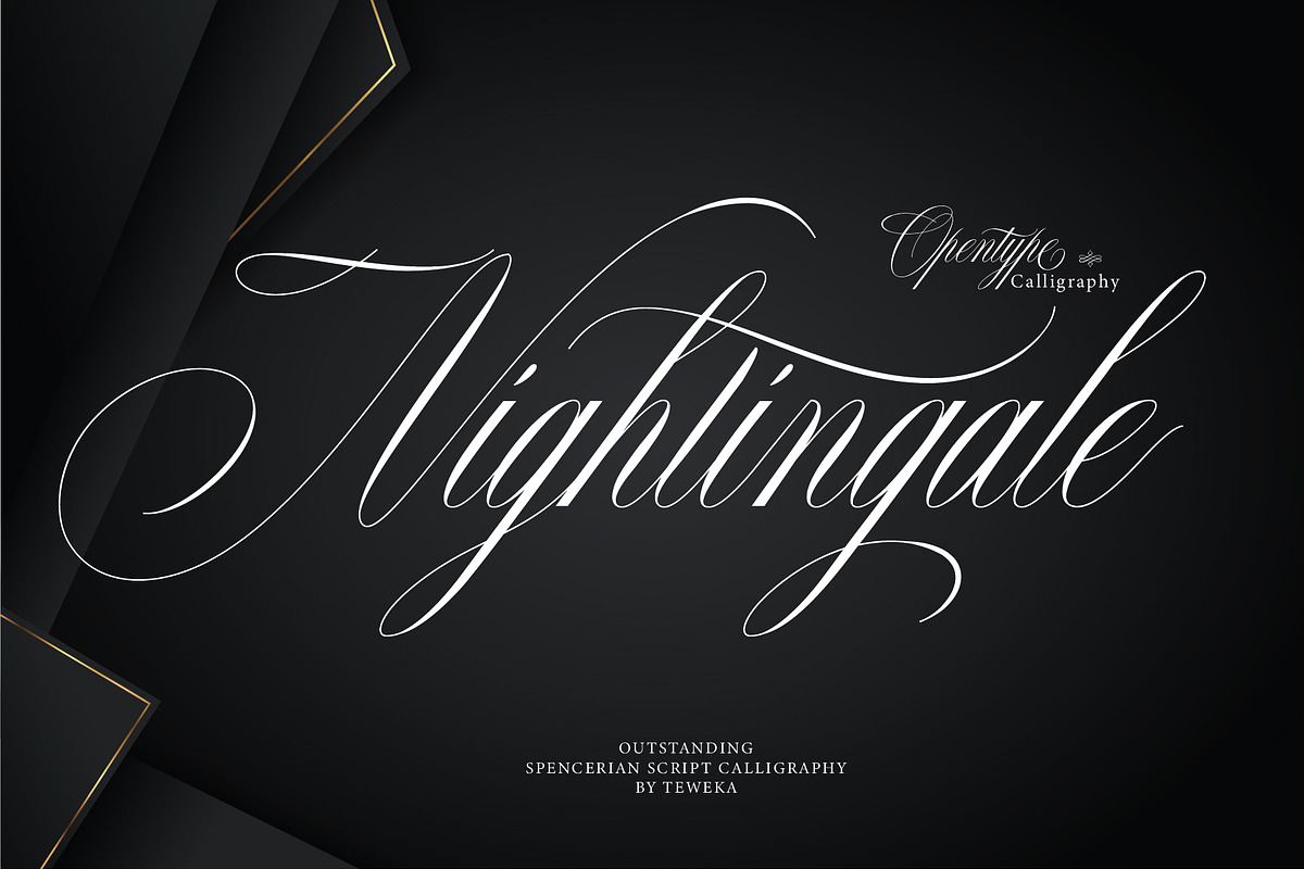 Nightingale, a Script Font by Teweka (Photo 1 of 10)