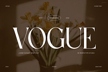 Vogue Elegant Serif Font