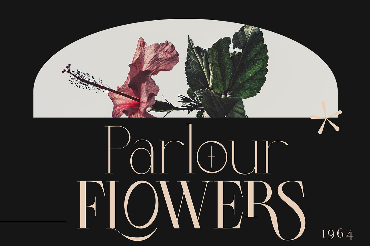 Colibre Bristole Pro, a Serif Font by Jolicia Type (Photo 2 of 13)