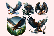 Eagle Clipart PNG Bundle, an Illustration by M9 Design (Thumbnail 2 of 7)