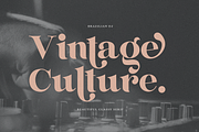 Brant, a Serif Font by FactoryType Studio (Thumbnail 5 of 11)