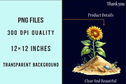 Summer Sunshine Sunflower Clipart, an Illustration by SinaCreation (Thumbnail 5 of 5)
