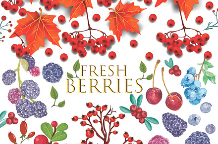 Watercolor Berries Clipart, a Decorative Illustration by Digi_Design_World
