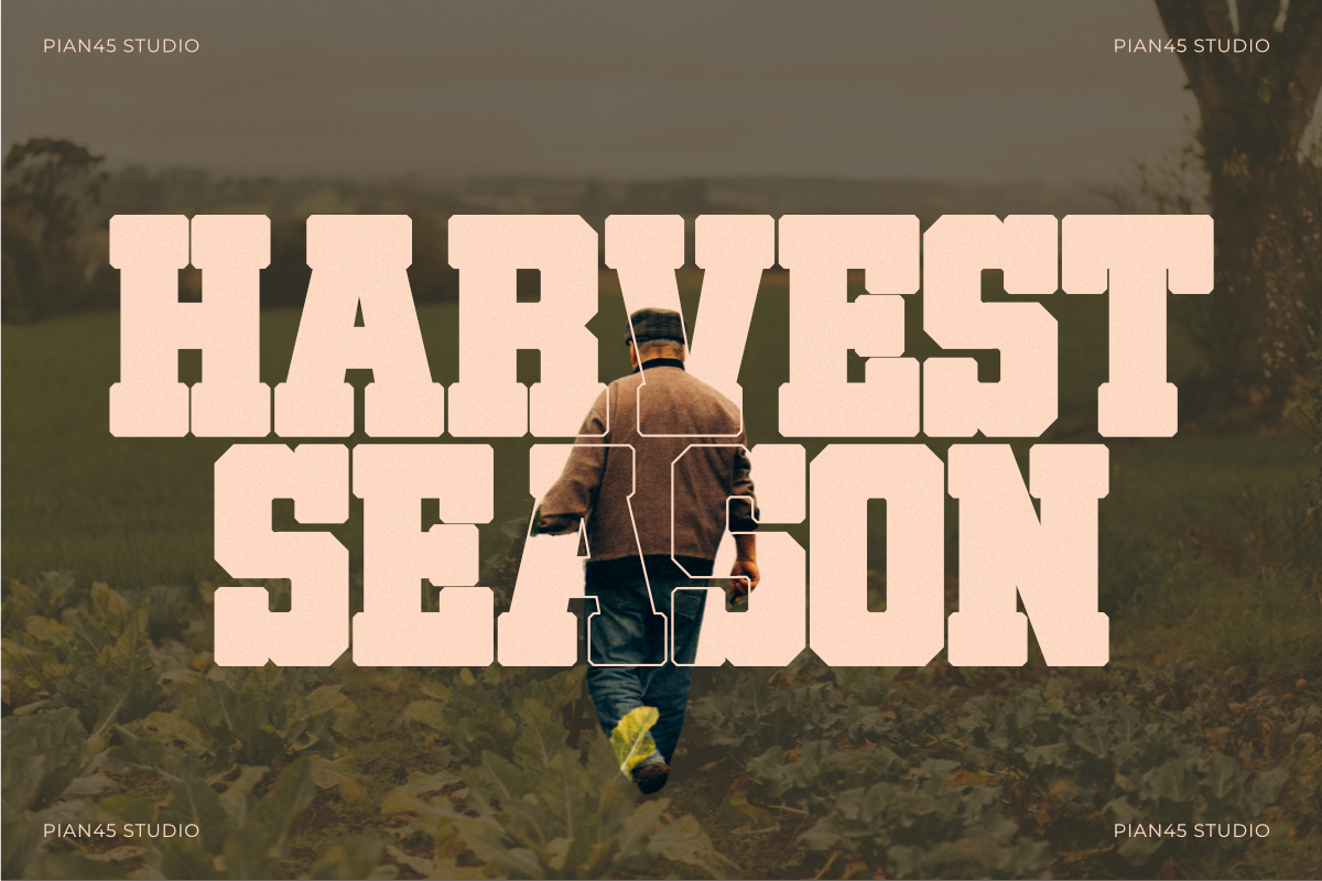 Harvest Varsity - Slab Serif Font, a Slab Serif Font by Pian45 Studio (Photo 4 of 8)