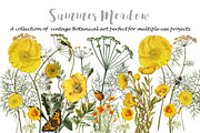 SUMMER MEADOW, an Invitation Template by Ginger Duck Graphics (Thumbnail 1 of 5)