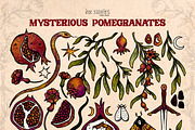 Mysterious Pomegranates Vintage Set, a Decorative Illustration by Ink Stories (Thumbnail 2 of 13)