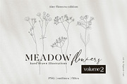 Meadow Flowers Vol. 1 & 2 Bundle, a Decorative Illustration by Pigment Café (Thumbnail 5 of 10)