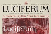 Luciferum - Serif font family, a Serif Font by Artistic & Unique (Thumbnail 3 of 15)