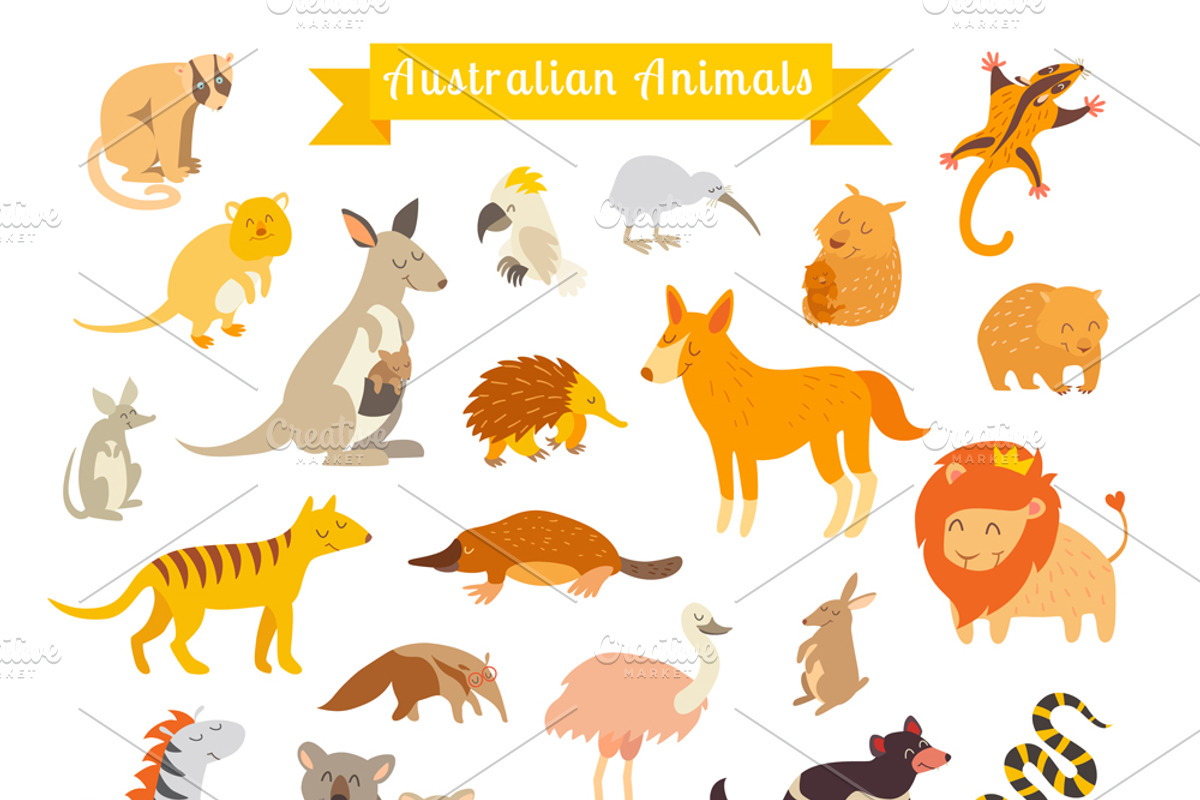 Animals world map, Australia, an Animal Illustration by Rimma