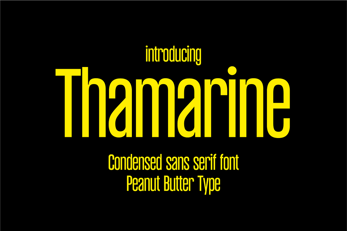 Thamarine Condensed Sans Font, a Sans Serif Font by PeanutButter Type (Photo 1 of 9)