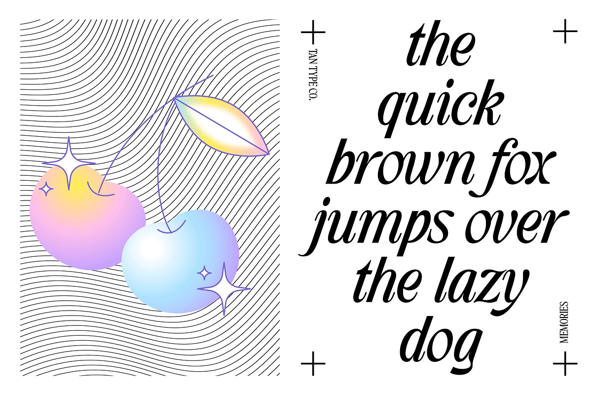 TAN - MEMORIES, a Serif Font by TanType (Photo 11 of 11)