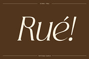 CS Brela – Elegant Serif Font, a Serif Font by Craft Supply Co. (Thumbnail 2 of 8)