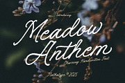 Meadow Anthem, a Handwritten Font by Nathatype (Thumbnail 1 of 11)
