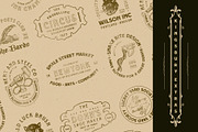 WT Kingsbury Font Bundle, a Font by Winston Type Co. (Thumbnail 15 of 17)