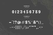 Malaya - A Classic Serif Font, a Serif Font by Wilsonkjc (Thumbnail 7 of 13)
