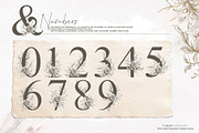 Floral Vintage Alphabet | Monograms, an Illustration by Tinydew (Thumbnail 6 of 7)