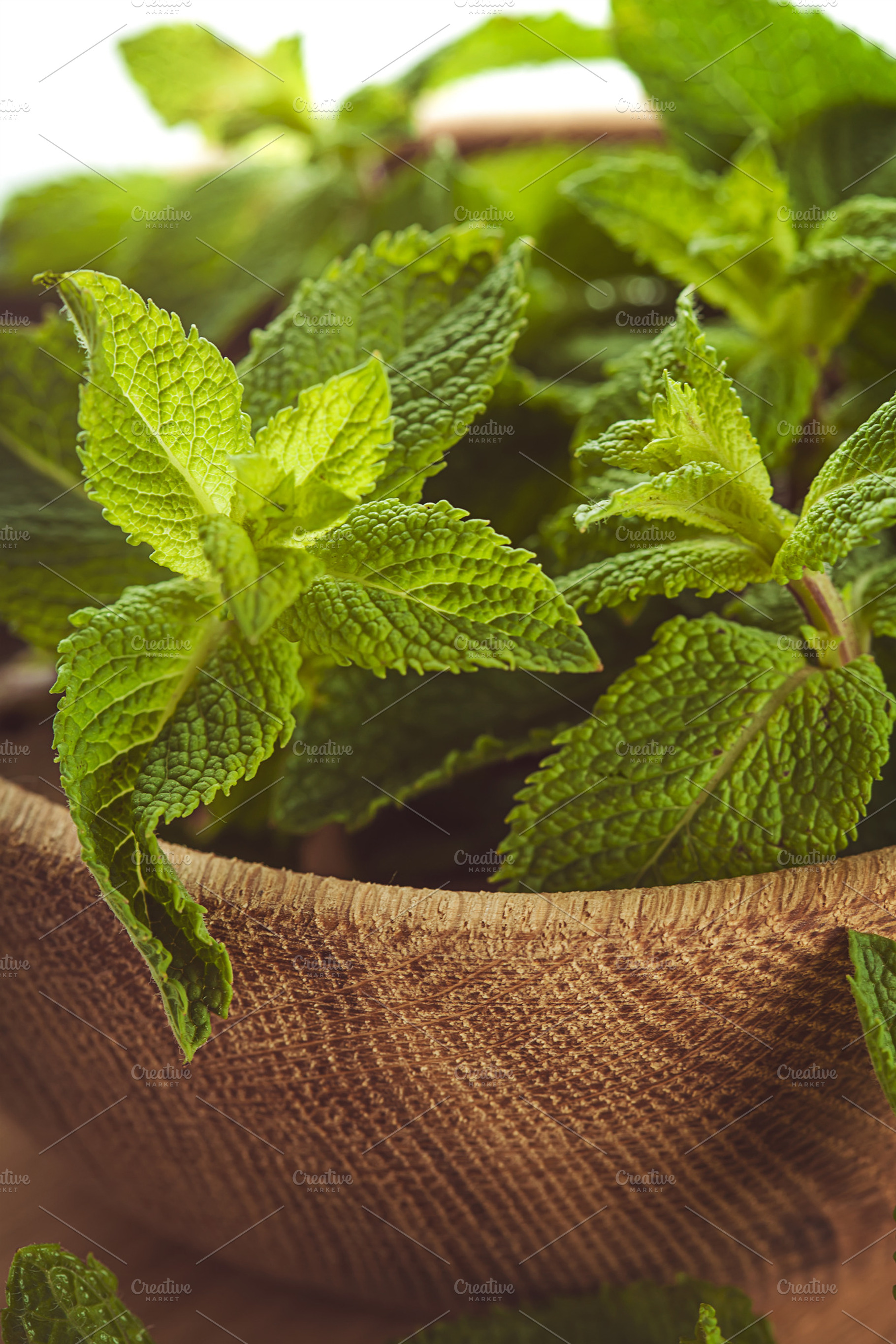 Mint leafs in wooden plate stock photo containing aroma and background