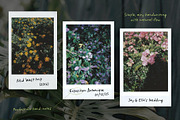 Botanicale | Handwritten Font, a Handwritten Font by type peace (Thumbnail 11 of 18)