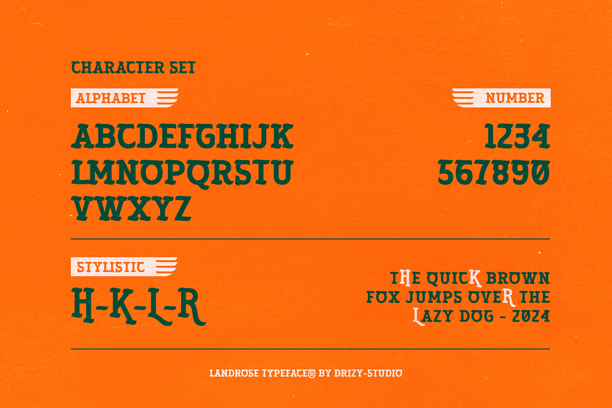 Landrose – Caligraphic Display Serif, a Serif Font by Drizy (Photo 3 of 10)