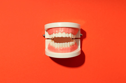 Concept of tooth care, jaws on orange background, a Health & Medical Photo by AtlasStudio PRO