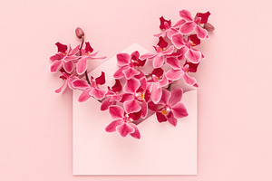 Orchid flowers in pink envelope.