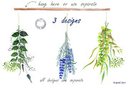 Warecolour clipart Wild herbs, a Healthcare Illustration by AqwaColor (Thumbnail 3 of 4)