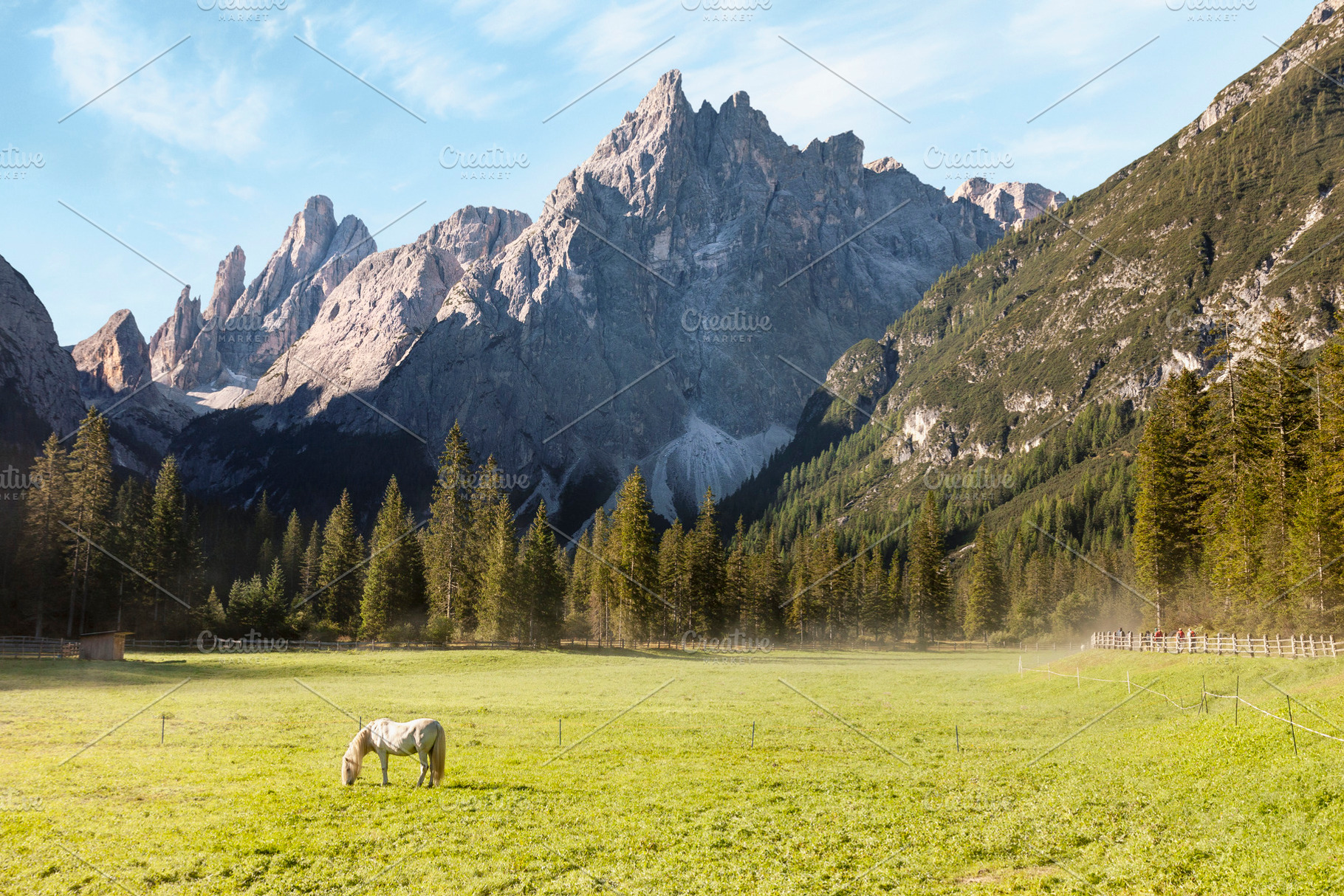 Mountains landscape and lonely horse, a Nature Photo by BOOCYS