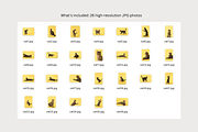 Playful Cat Studio Photo Pack, an Animal Photo by Animalistica (Thumbnail 4 of 4)