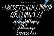 Anny Grace Hand brush Typeface, a Font by SSI.Scraps (Thumbnail 11 of 14)