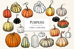 Pumpkins - vector clipart, a Seasonal Illustration by Glass Cat Design