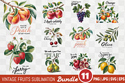 Vintage Fruit Sublimation Bundle, an Illustration by Actual Pixel (Thumbnail 1 of 11)