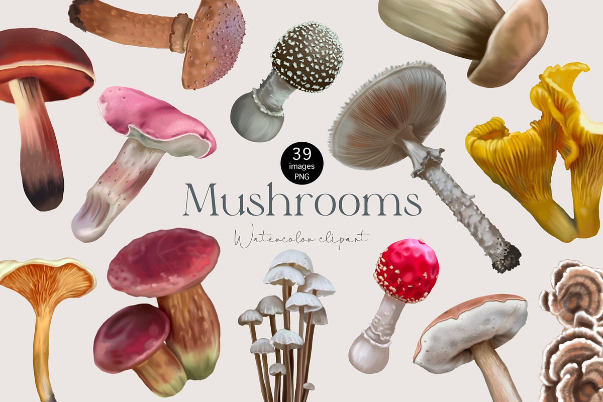 Botanical watercolor mushrooms, an Illustration by NNclipart (Photo 1 of 3)