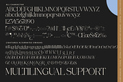 Collection Morning Modern Serif, a Serif Font by timelesstype.co (Thumbnail 10 of 10)