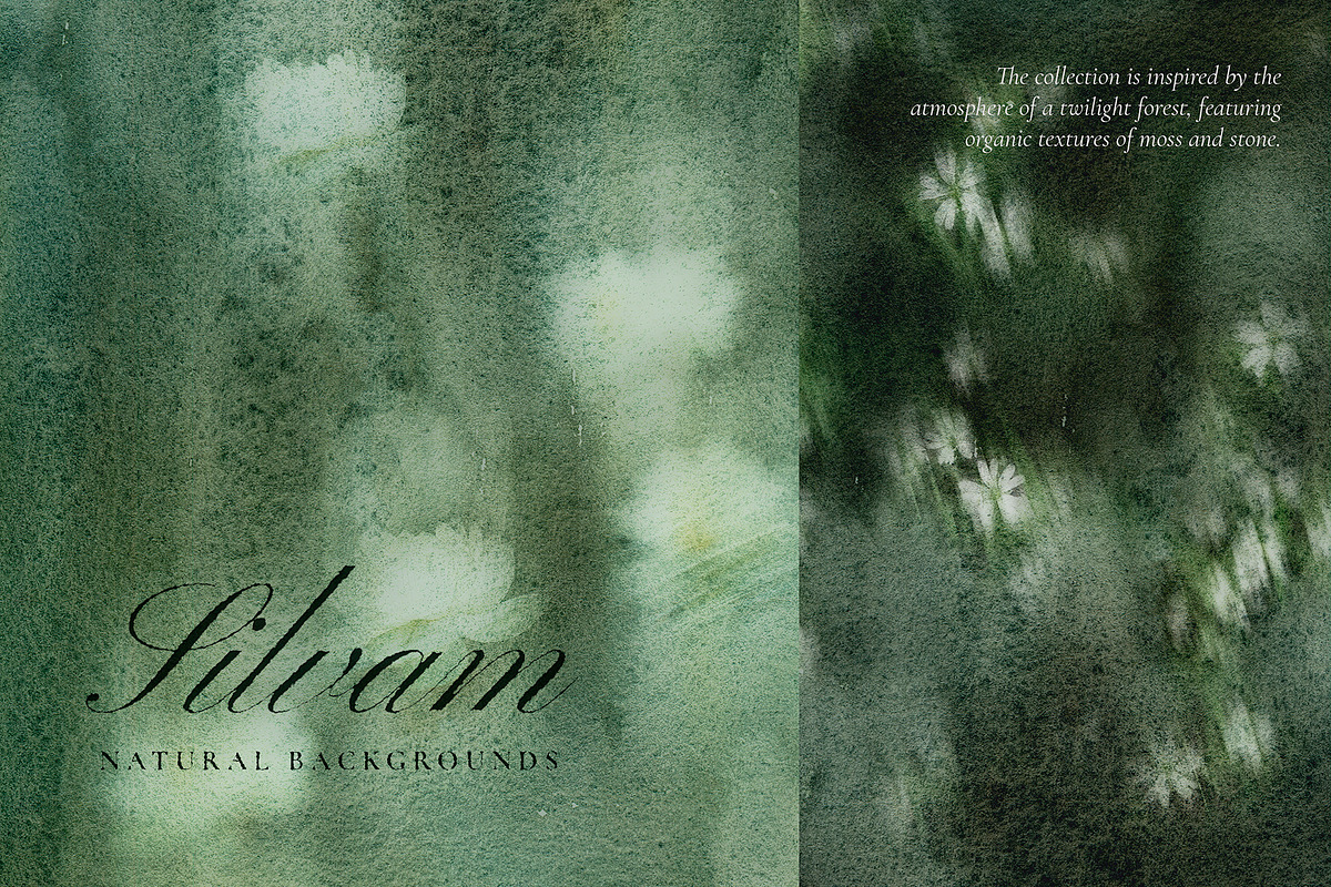 Silvam - Natural Backgrounds, a Background Graphic by Watercolor_Ma (Photo 5 of 9)