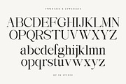 Avilona Super Family | 63 Style Font, a Serif Font by IM Studio (Thumbnail 12 of 16)