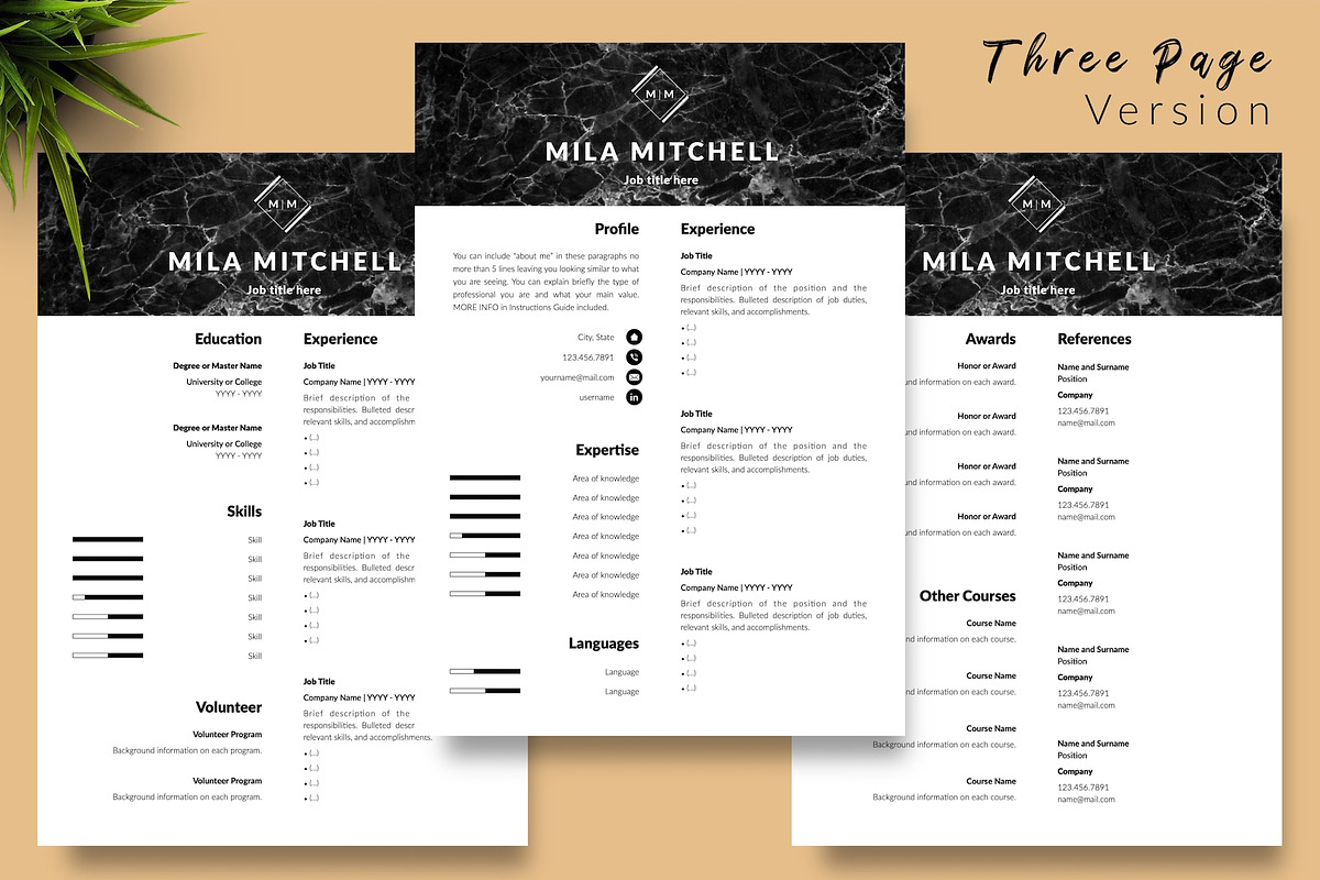 Modern Resume Design / CV - Mila, a Resume Template by Templates Design Co. (Photo 4 of 17)