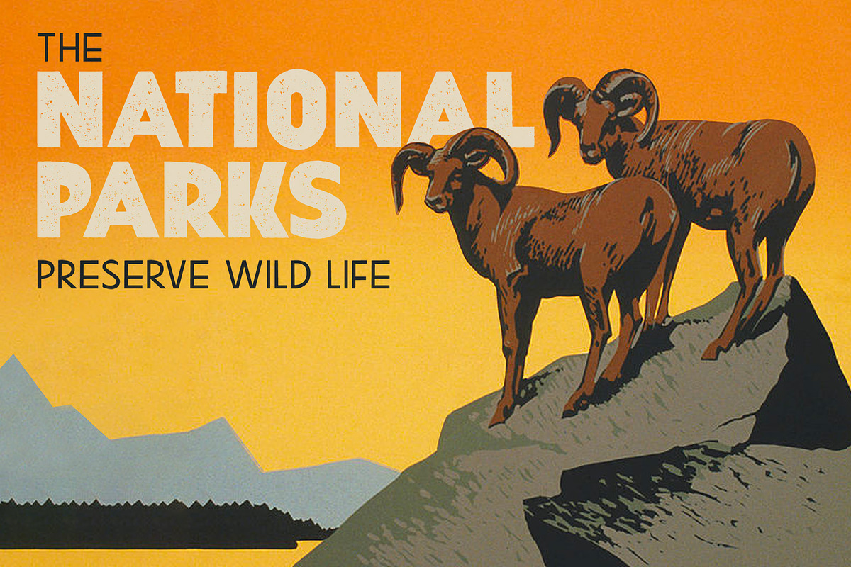 Turista Vintage Font Duo, a Sans Serif Font by StockMamba (Photo 5 of 17)