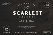 Whole Store Bundle | 95 OFF, a Serif Font by Swistblnk Std. (Thumbnail 5 of 60)