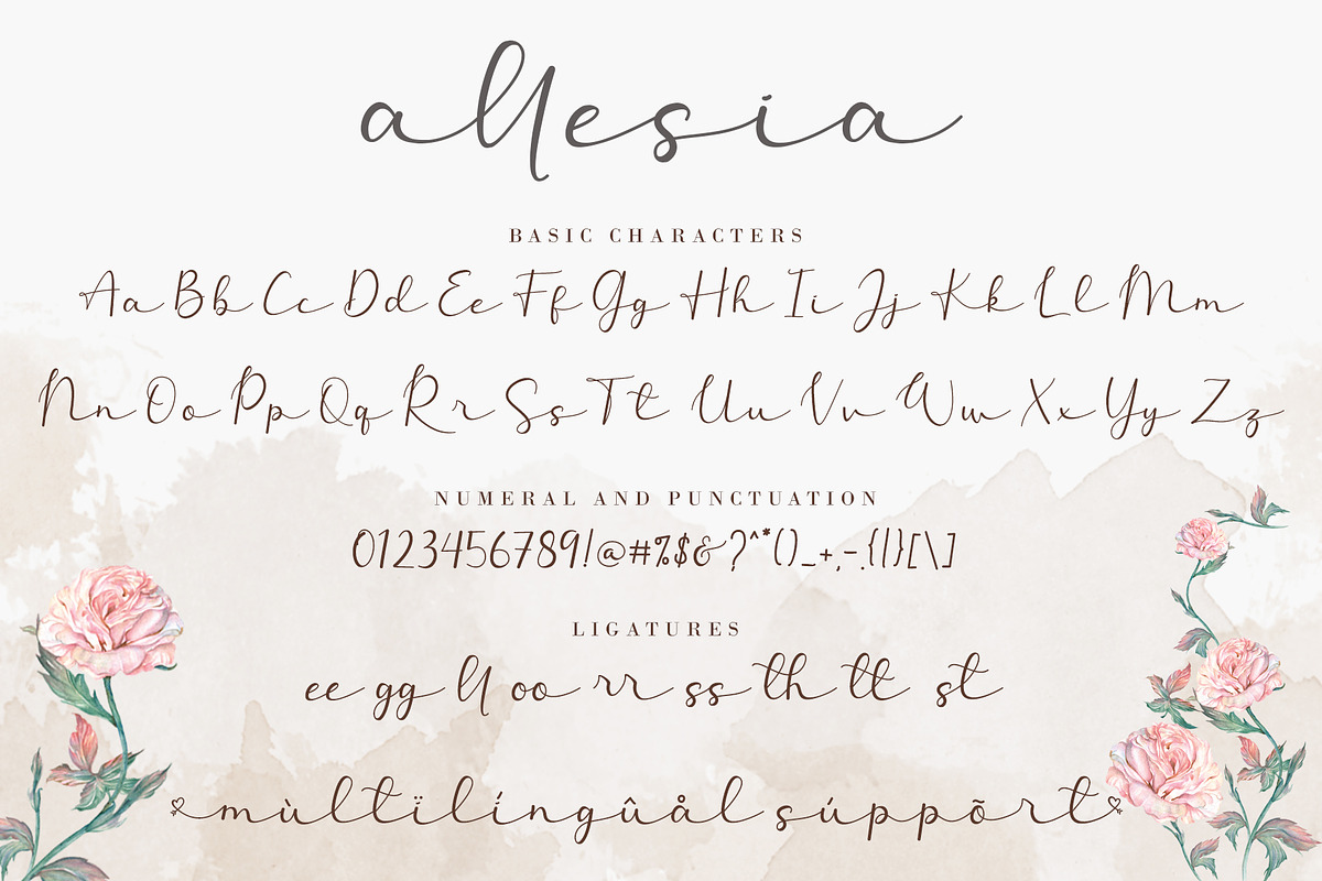 Allesia, a Script Font by AEN Creative Studio (Photo 10 of 12)