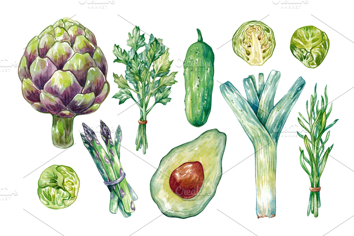 Watercolor Vegetables., a Food Illustration by Olga Olmix (Photo 2 of 6)
