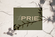 Modena | Duo with 6 Free Logos, a Sans Serif Font by Jen Wagner Co (Thumbnail 9 of 22)
