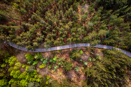 Aerial view of road on forest in Candamo, Asturias., an Architecture Photo by CreativePhotoSpain