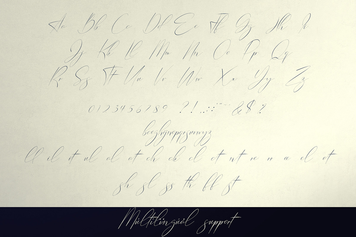 Belinda Tamira - Font duo + 20 Logos, a Serif Font by VP Fonts (Photo 11 of 12)