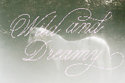 Studio Nomad // Script Family, a Script Font by PeachCreme (Thumbnail 10 of 23)