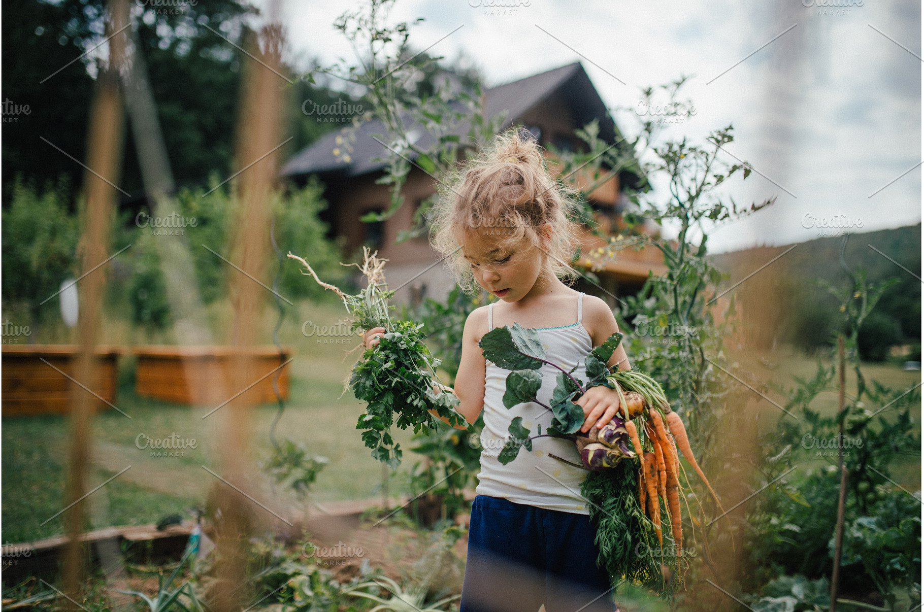 Little girl holding freshly, a Food & Drink Photo by HalfPoint