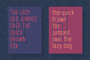 Avantgarde Sans Serif Family, a Sans Serif Font by Graphicdome (Thumbnail 8 of 18)