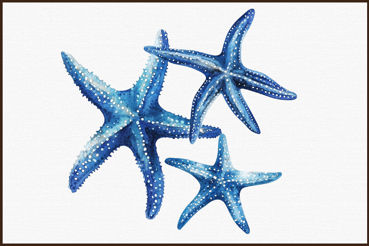 Watercolor Starfish Nautical Clipart, an Illustration by Sublimation Artist (Photo 3 of 6)